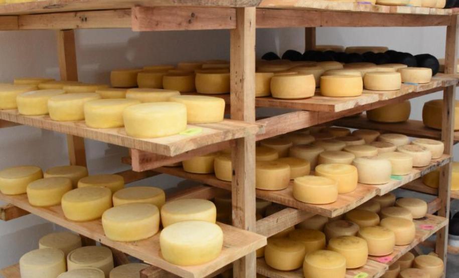 Queijo artesanal de Salgado Filho é o primeiro produto paranaense a receber o Selo Arte