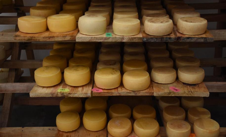 Queijo artesanal de Salgado Filho é o primeiro produto paranaense a receber o Selo Arte