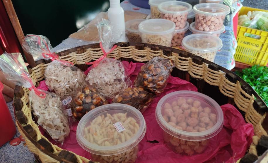 Associativismo e apoio do Governo fortalecem trabalho de agricultoras no Sudoeste