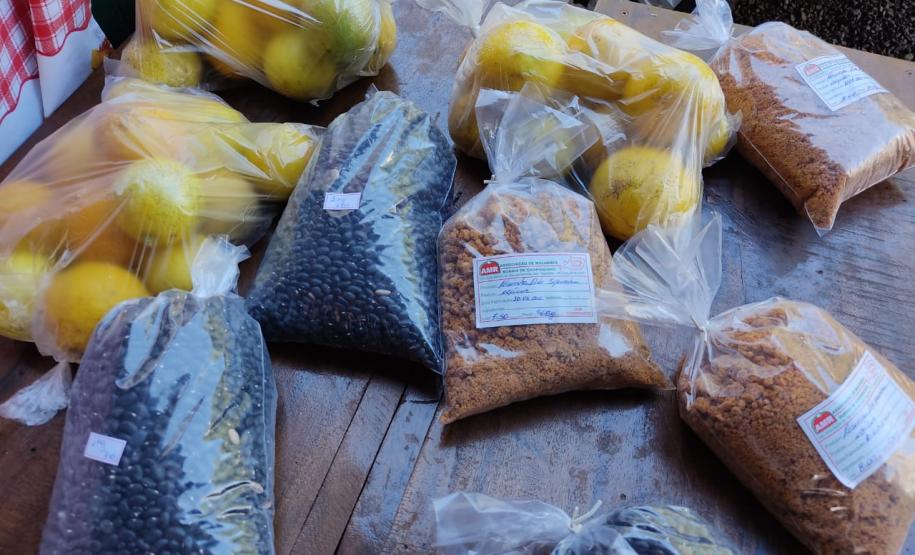 Associativismo e apoio do Governo fortalecem trabalho de agricultoras no Sudoeste