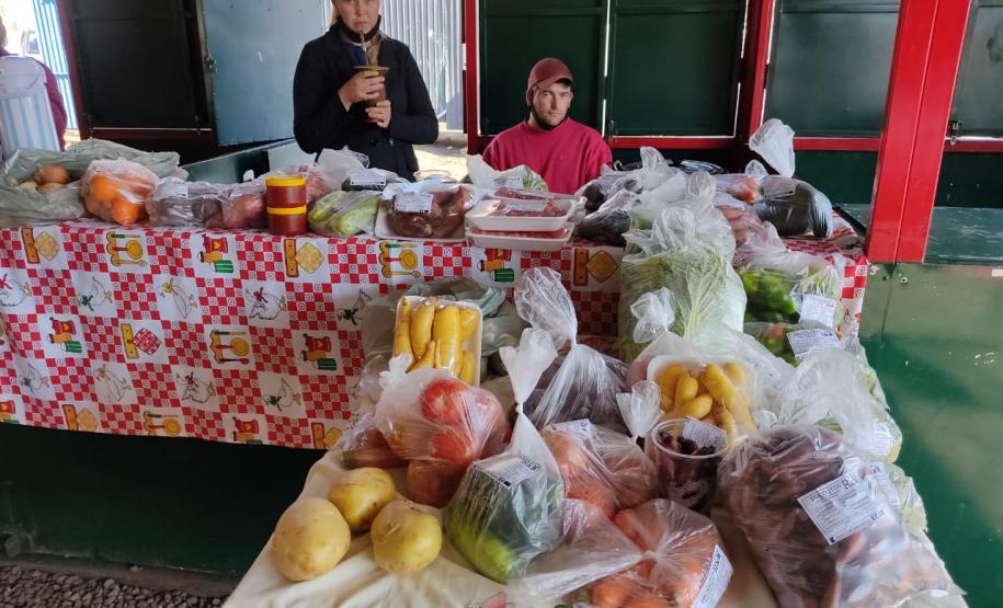 Associativismo e apoio do Governo fortalecem trabalho de agricultoras no Sudoeste