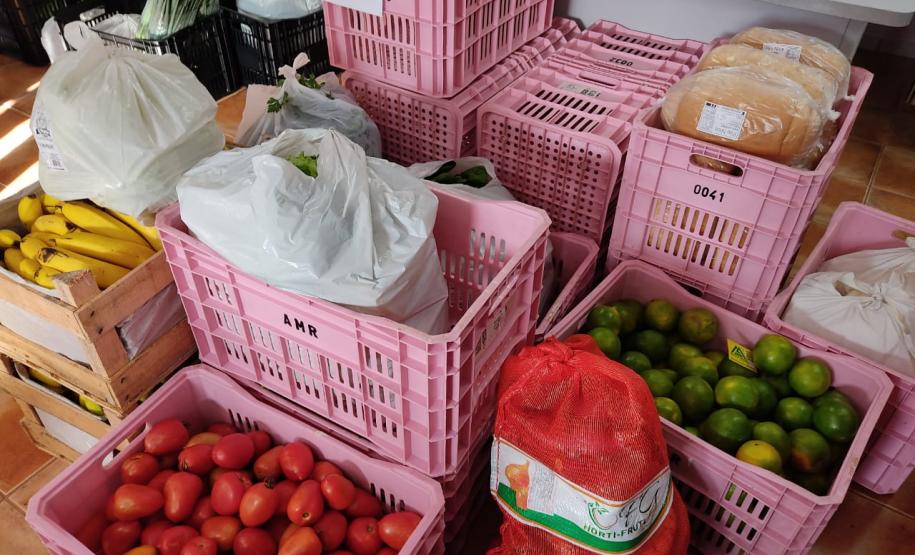 Associativismo e apoio do Governo fortalecem trabalho de agricultoras no Sudoeste