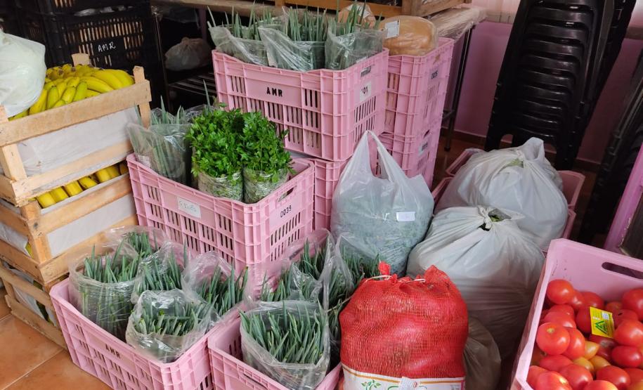 Associativismo e apoio do Governo fortalecem trabalho de agricultoras no Sudoeste