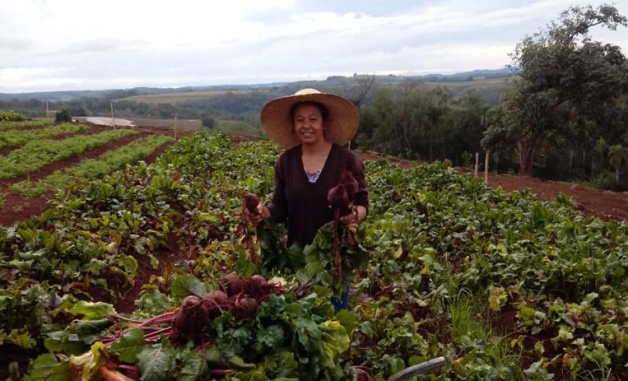 Associativismo e apoio do Governo fortalecem trabalho de agricultoras no Sudoeste
