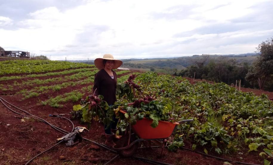 Associativismo e apoio do Governo fortalecem trabalho de agricultoras no Sudoeste