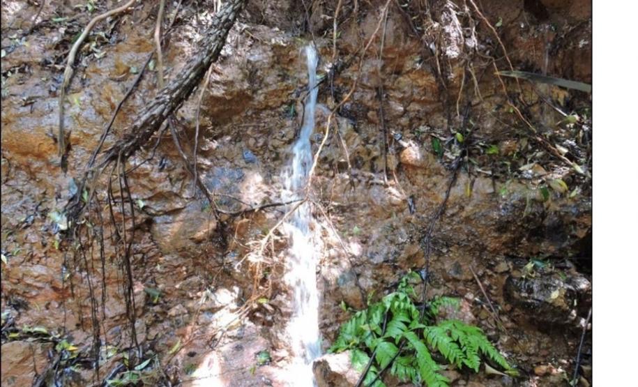 Nascente em talude de rio.