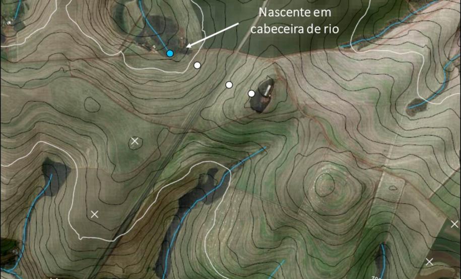 Nascente em cabeceira de drenagem.