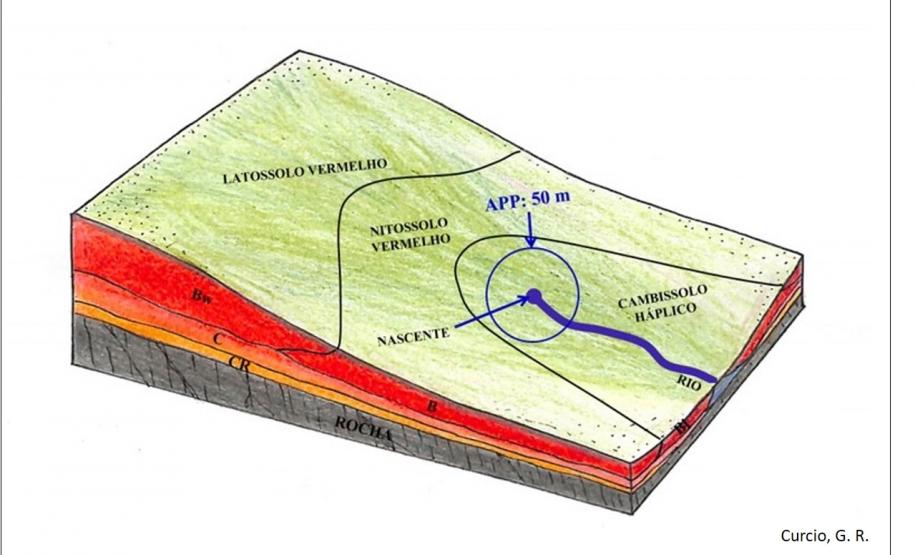 Representação de Área de Preservação Permanente.