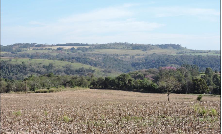 Cumeeira plana ao fundo com Neossolo Regolítico.