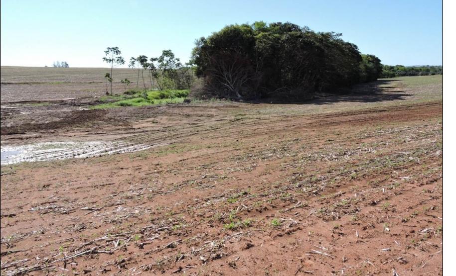 Desmatamento em área de nascente.