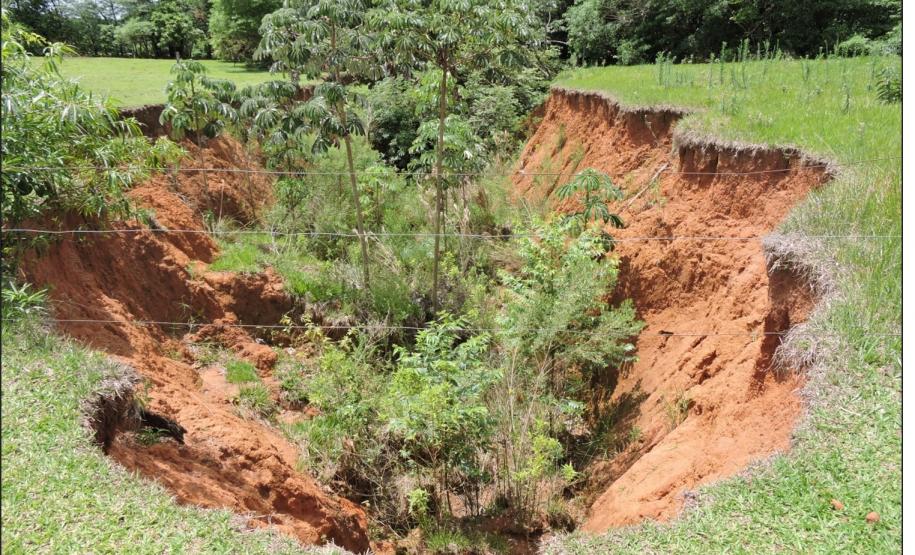 Nascente desprovida de proteção florestal com vossoroca.