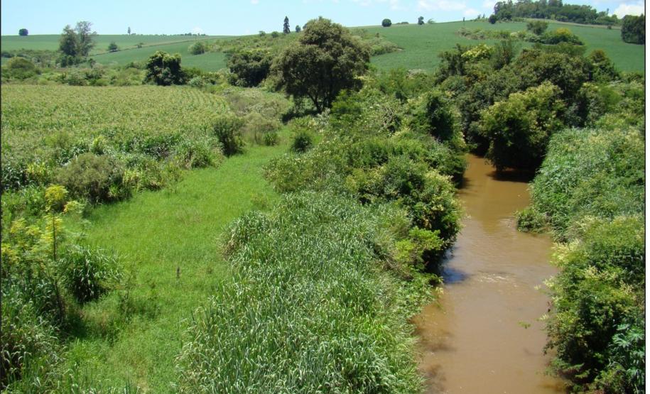 Presença de Organossolo Háplico em planície aluvial.