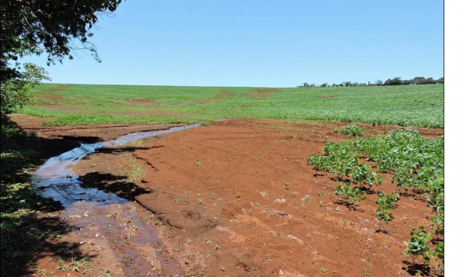 Soterramento de solo em área de nascente.
