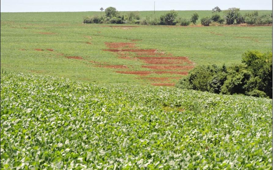 Retirada de horizonte superficial.