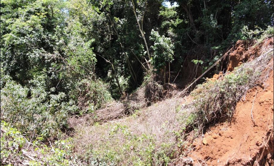 Vossorocamento em área de nascente.
