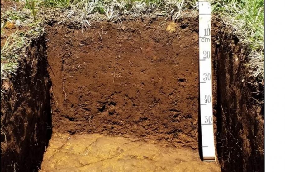 Cambissolo Háplico léptico lítico.