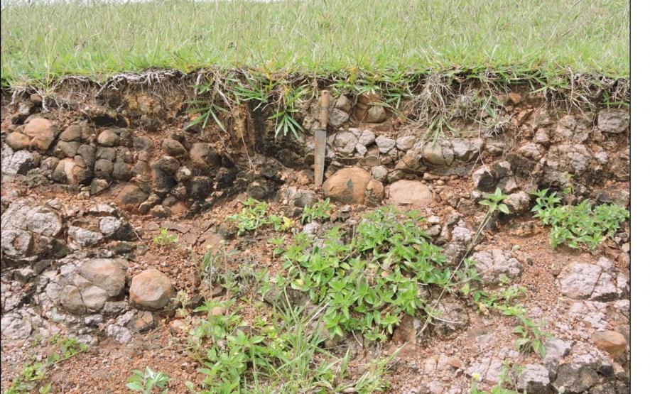 Neossolo Litólico substrato eruptivas.