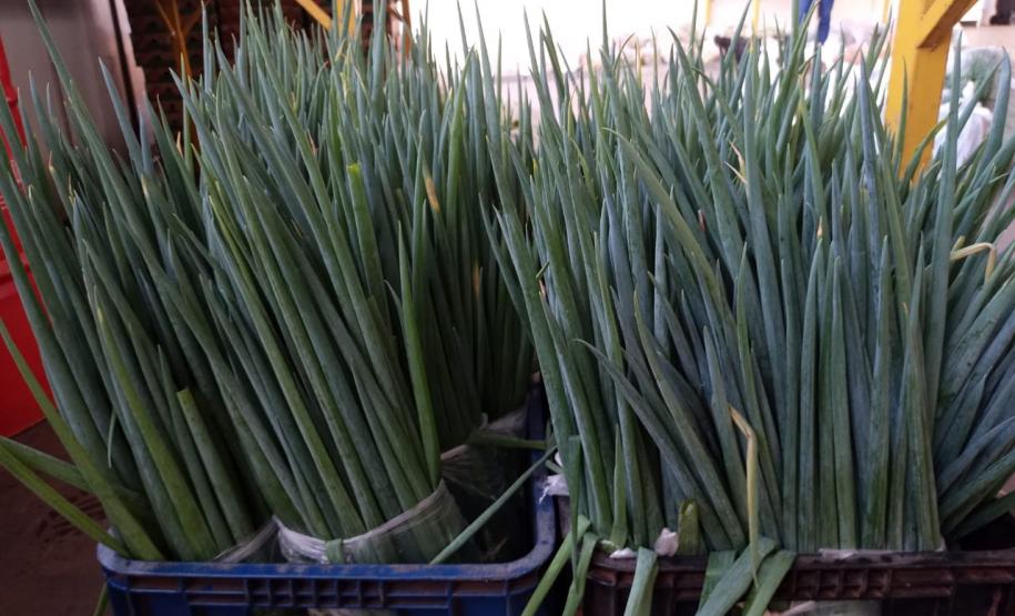 Compra Direta contribui para alimentação saudável e geração de renda no campo em Paranavaí