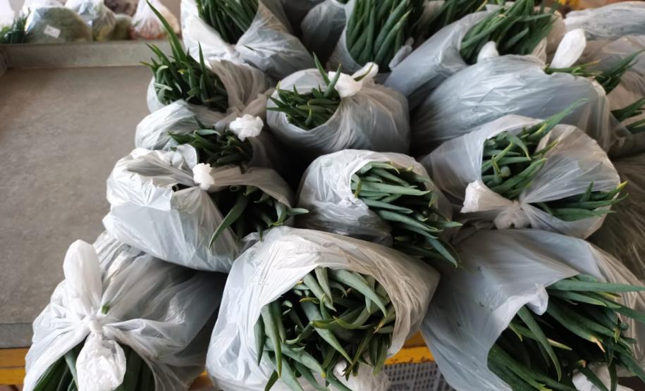 Compra Direta contribui para alimentação saudável e geração de renda no campo em Paranavaí