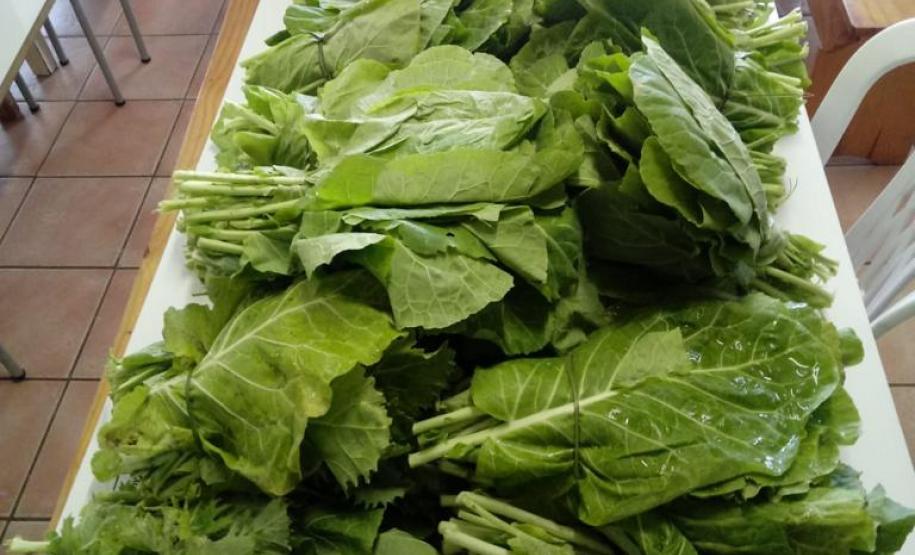 Compra Direta contribui para alimentação saudável e geração de renda no campo em Paranavaí