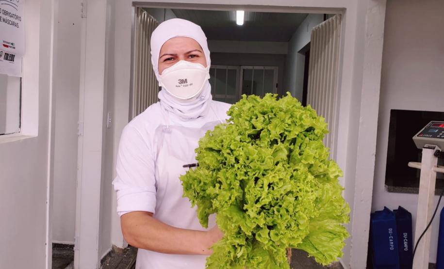 Chefe do Desan visita Toledo e conhece iniciativas locais de Segurança Alimentar