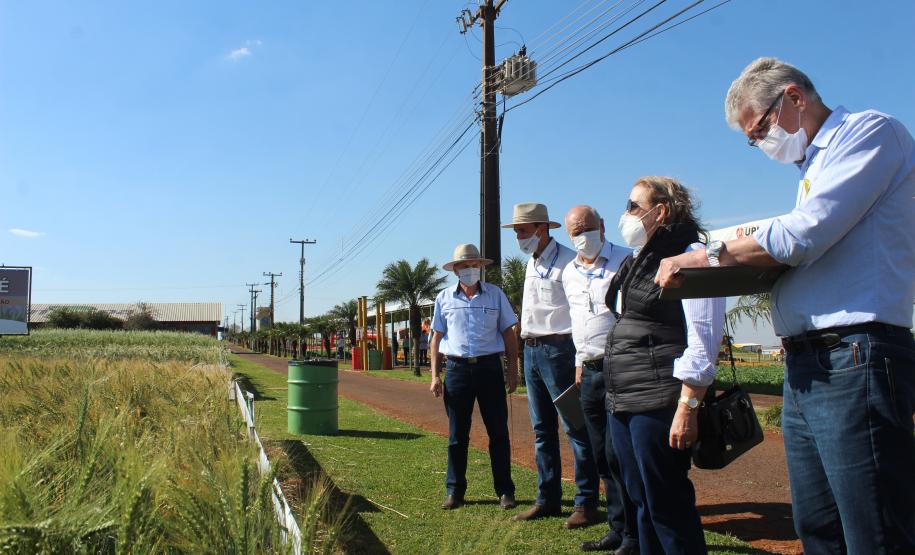 Paraná ganha programa para fomentar cultivo de cereais de inverno