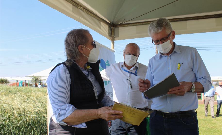 Paraná ganha programa para fomentar cultivo de cereais de inverno