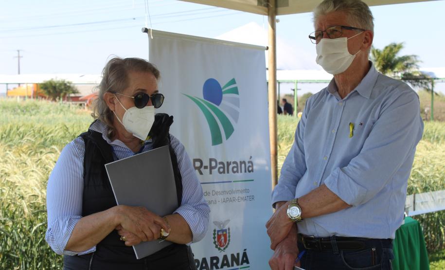 Paraná ganha programa para fomentar cultivo de cereais de inverno