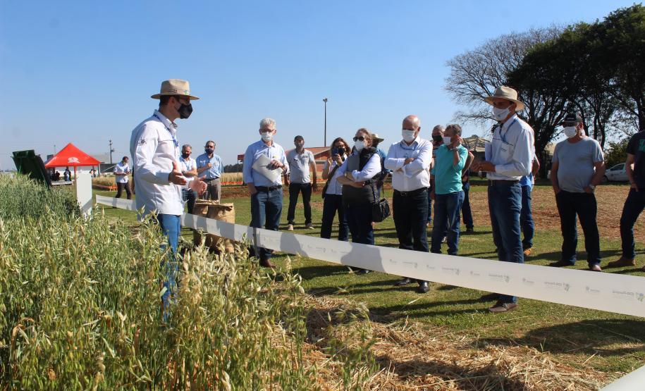 Paraná ganha programa para fomentar cultivo de cereais de inverno