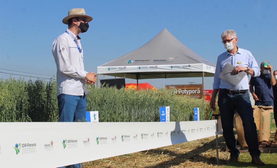Paraná ganha programa para fomentar cultivo de cereais de inverno
