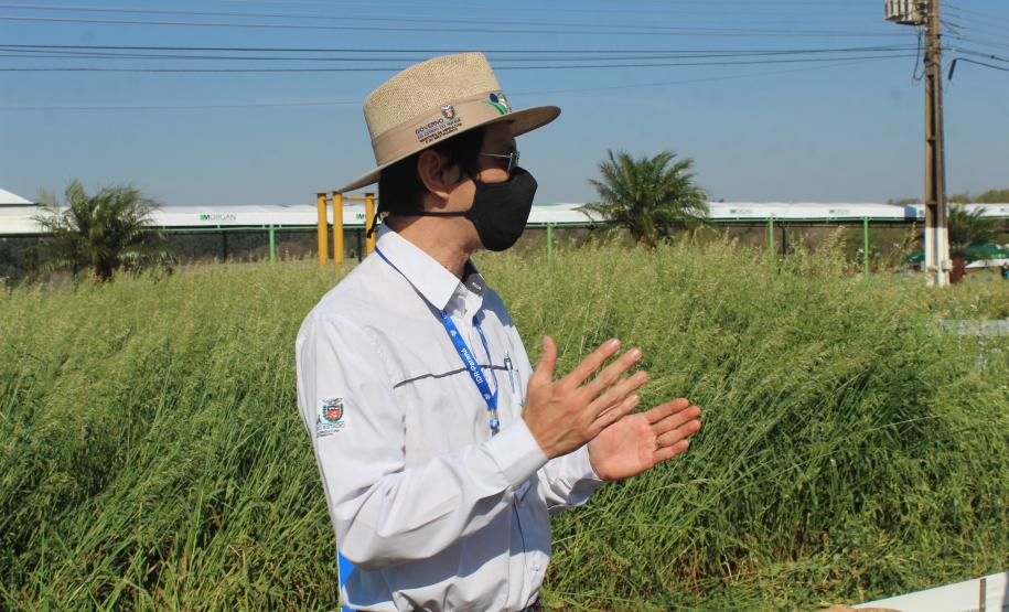 Paraná ganha programa para fomentar cultivo de cereais de inverno
