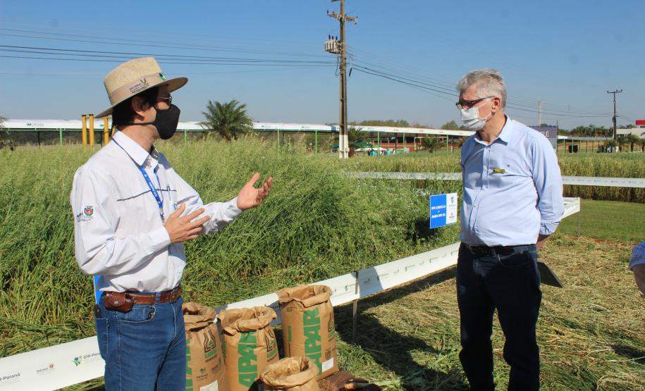 Paraná ganha programa para fomentar cultivo de cereais de inverno