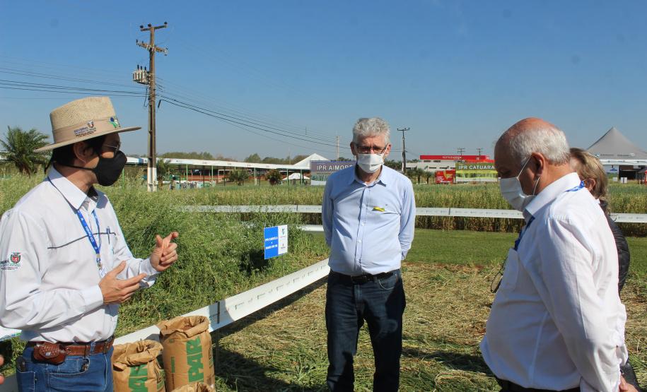Paraná ganha programa para fomentar cultivo de cereais de inverno