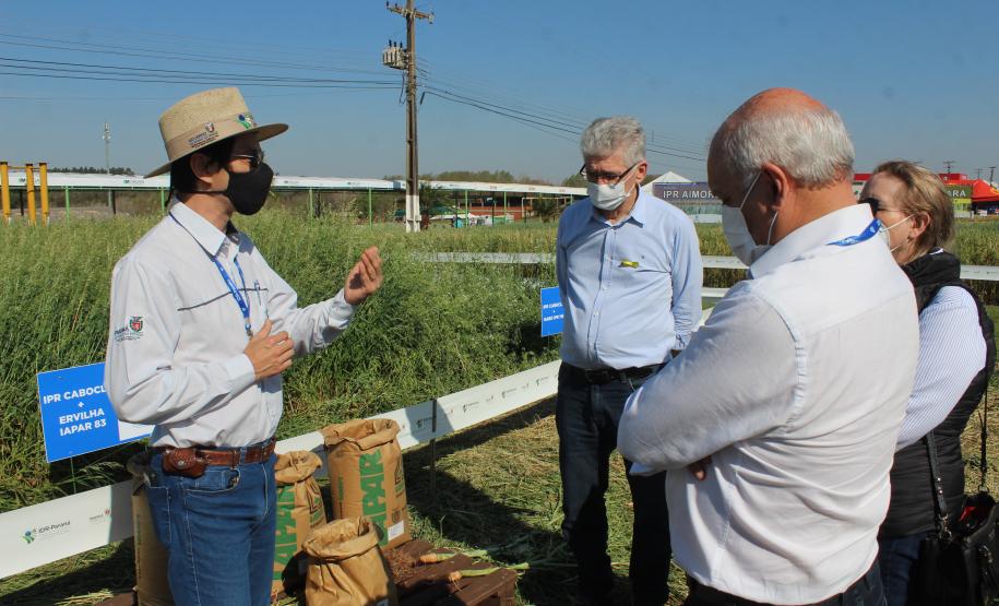 Paraná ganha programa para fomentar cultivo de cereais de inverno
