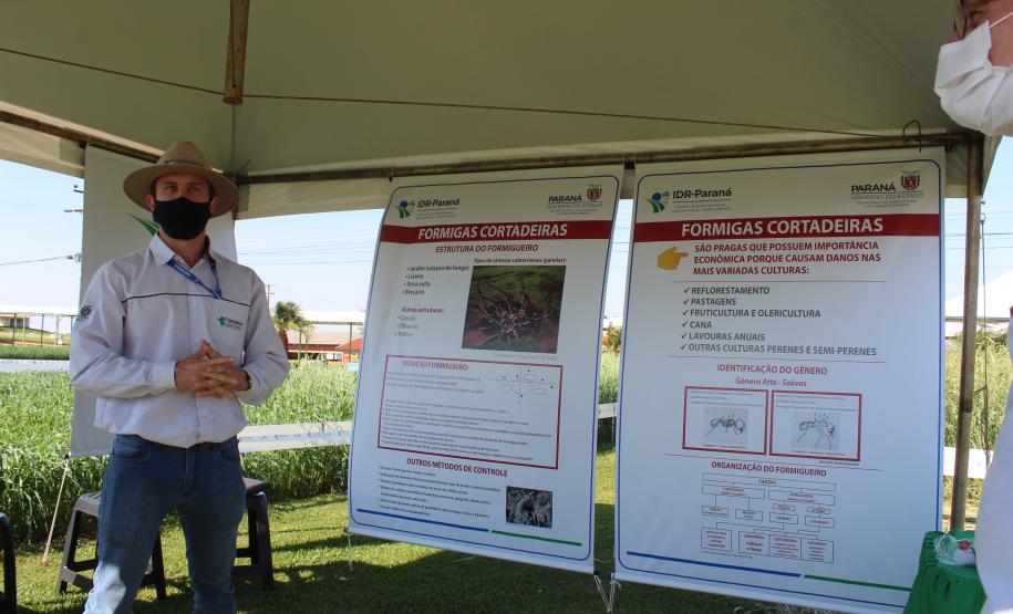 Paraná ganha programa para fomentar cultivo de cereais de inverno