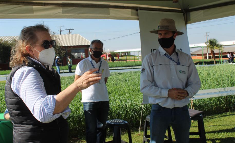 Paraná ganha programa para fomentar cultivo de cereais de inverno