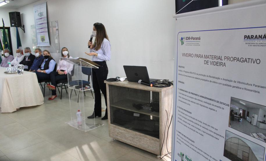 IDR-Paraná inaugura viveiro em Santa Tereza do Oeste para melhorar produção de uva