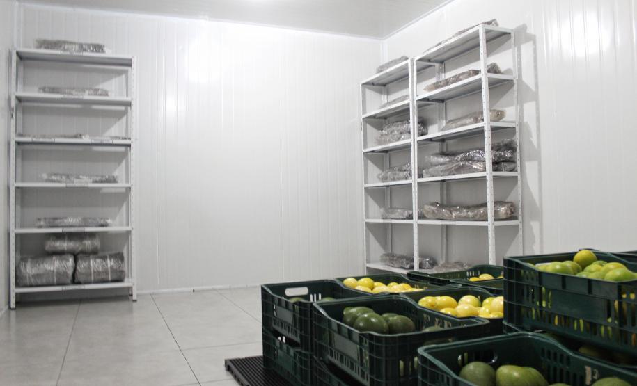 IDR-Paraná inaugura viveiro em Santa Tereza do Oeste para melhorar produção de uva