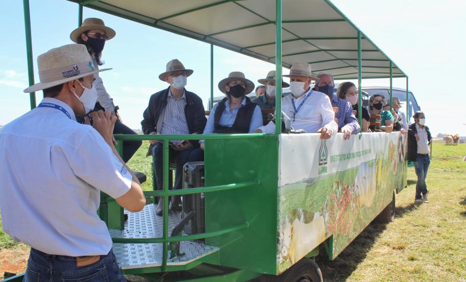 IDR-Paraná inaugura viveiro em Santa Tereza do Oeste para melhorar produção de uva