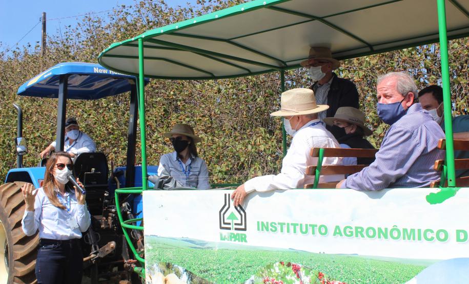 IDR-Paraná inaugura viveiro em Santa Tereza do Oeste para melhorar produção de uva