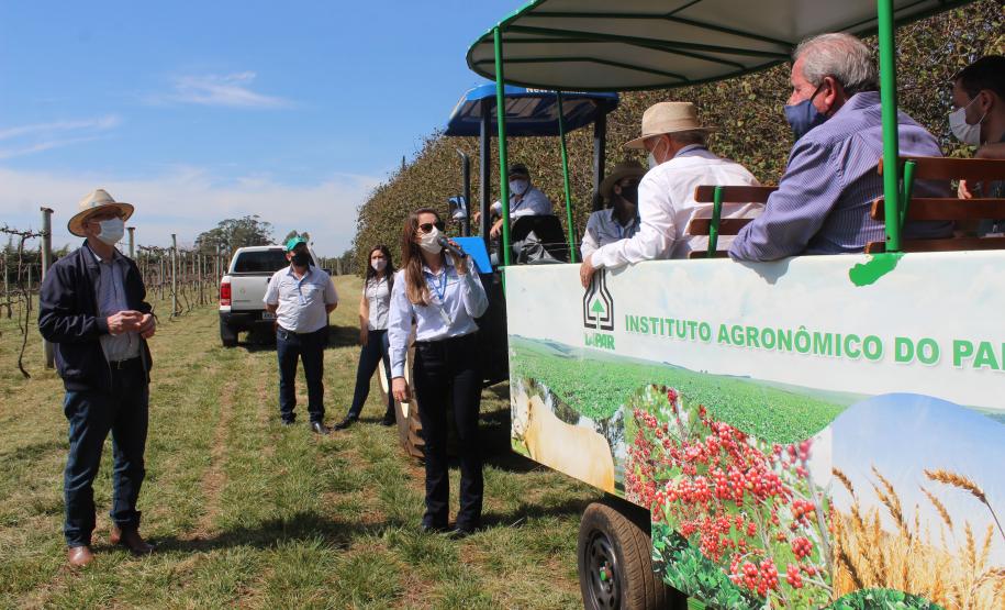 IDR-Paraná inaugura viveiro em Santa Tereza do Oeste para melhorar produção de uva