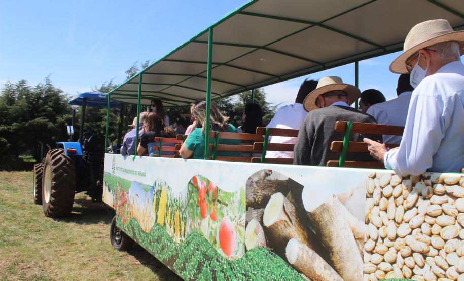 IDR-Paraná inaugura viveiro em Santa Tereza do Oeste para melhorar produção de uva