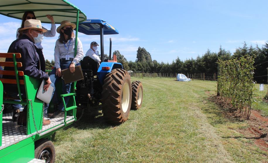 IDR-Paraná inaugura viveiro em Santa Tereza do Oeste para melhorar produção de uva