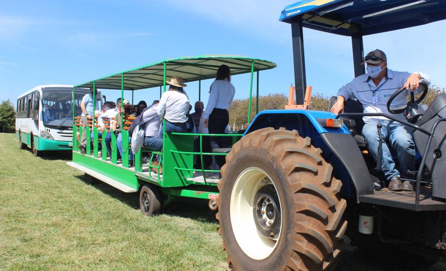 IDR-Paraná inaugura viveiro em Santa Tereza do Oeste para melhorar produção de uva