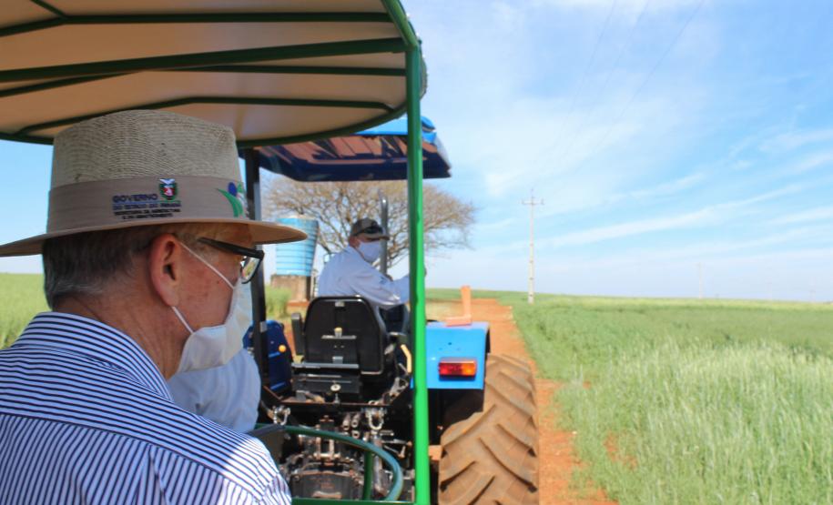 IDR-Paraná inaugura viveiro em Santa Tereza do Oeste para melhorar produção de uva