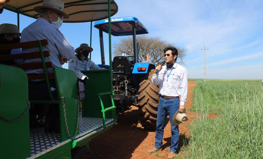 IDR-Paraná inaugura viveiro em Santa Tereza do Oeste para melhorar produção de uva