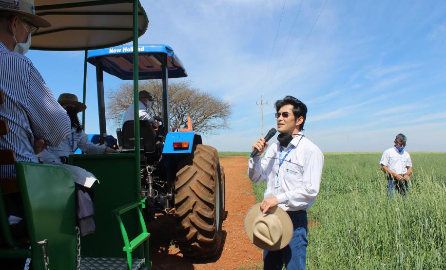IDR-Paraná inaugura viveiro em Santa Tereza do Oeste para melhorar produção de uva