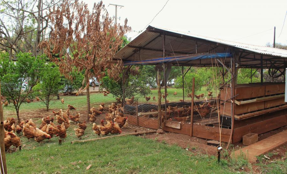 Agroindústrias do Vale do Ivaí ganham impulso com apoio do governo