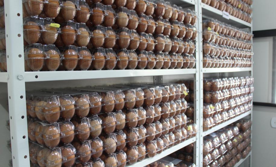 Agroindústrias do Vale do Ivaí ganham impulso com apoio do governo