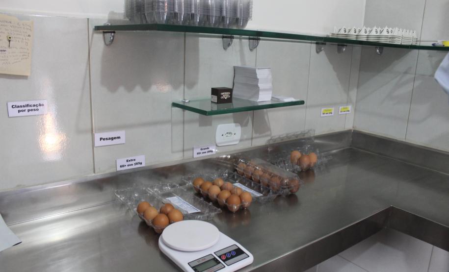 Agroindústrias do Vale do Ivaí ganham impulso com apoio do governo